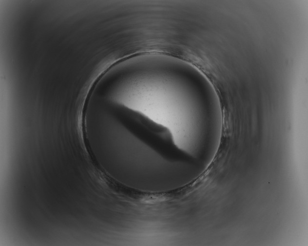 X0000093130099200710031359