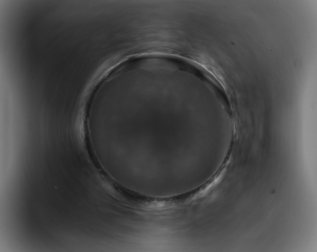 X0000093130101200710031359