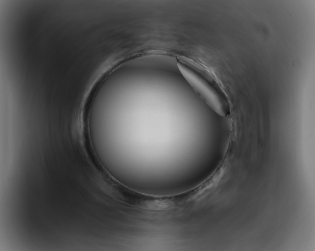 X0000093130102200710031359