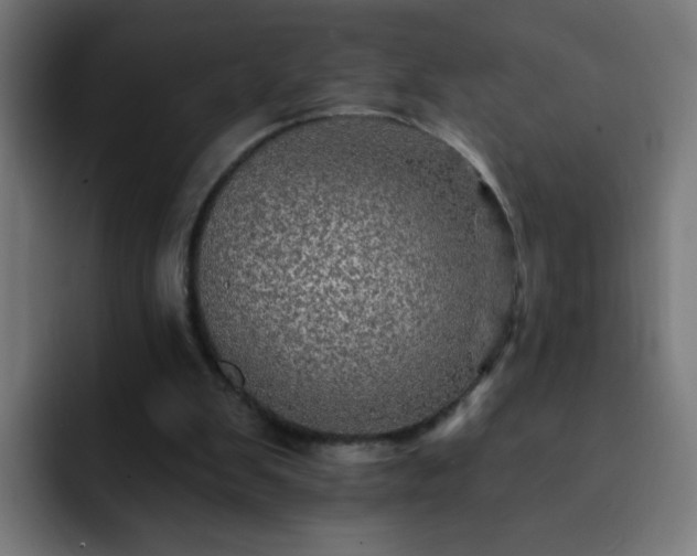 X0000093130103200710031359