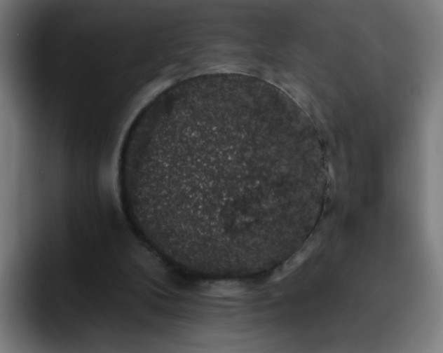 X0000093130104200710031359