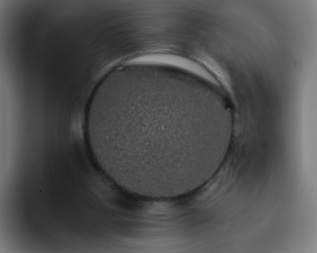 X0000093130107200710031359