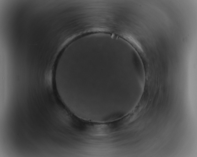 X0000093130108200710031359