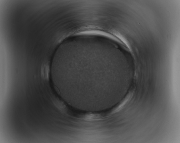 X0000093130109200710031359