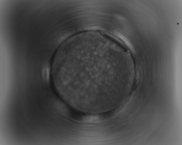 X0000093130110200710031359