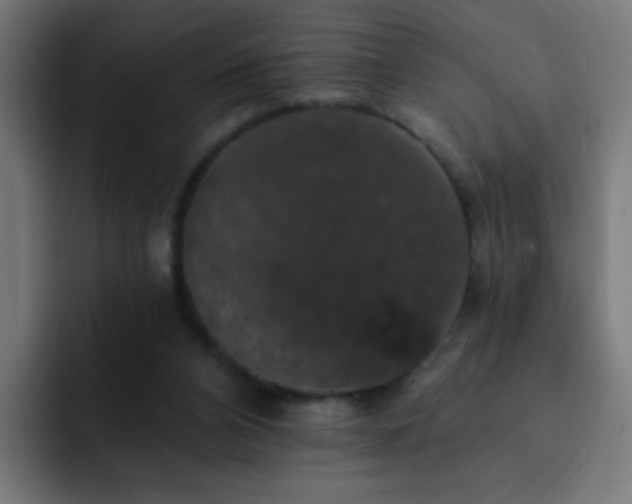 X0000093130112200710031359