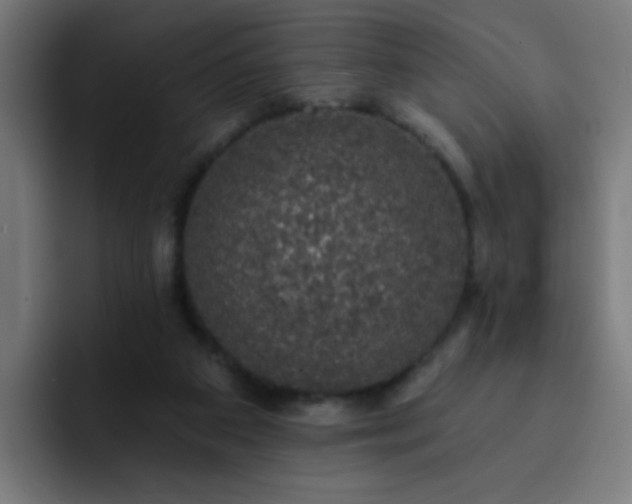 X0000093130113200710031359