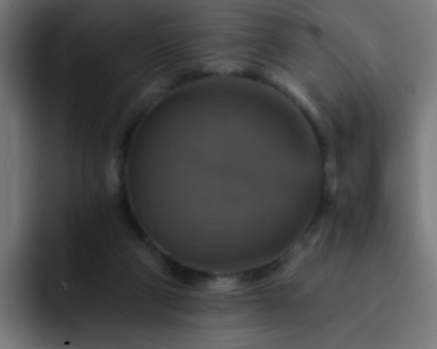 X0000093130114200710031359