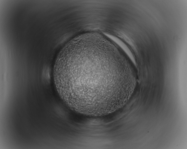 X0000093130115200710031359