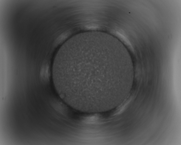 X0000093130116200710031359