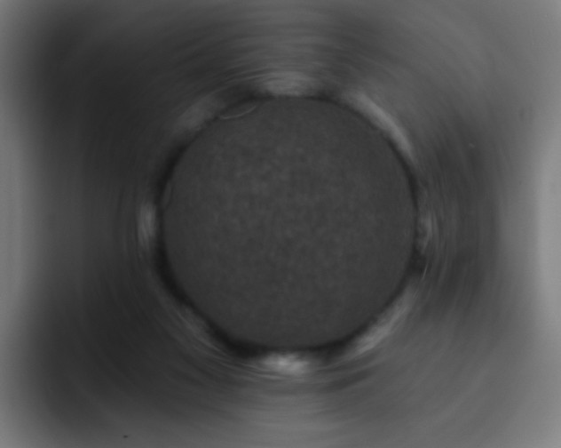 X0000093130117200710031359