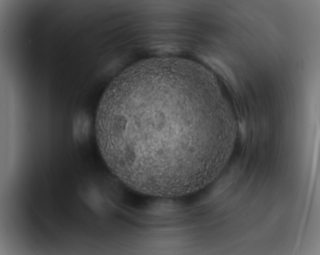 X0000093130123200710031359