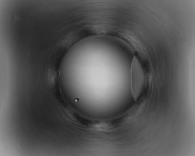 X0000093130125200710031359