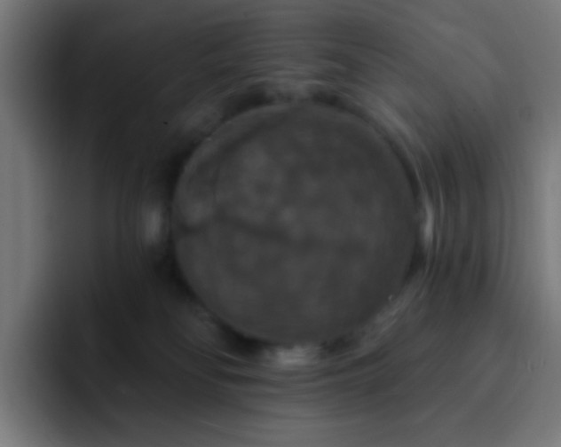 X0000093130134200710031359