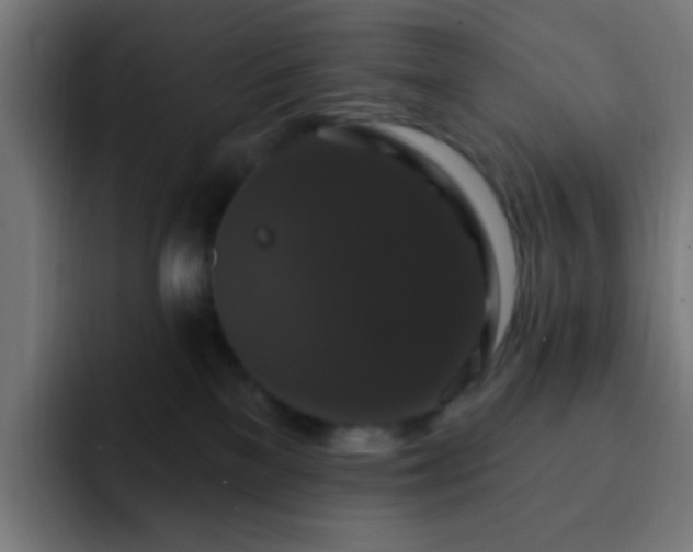 X0000093130137200710031359