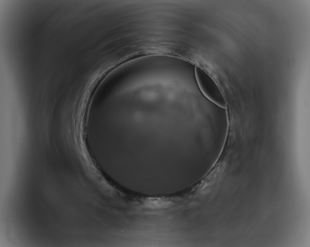 X0000093130145200710031358