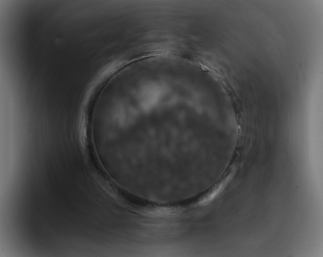 X0000093130149200710031358