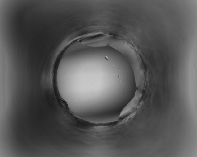 X0000093130150200710031358