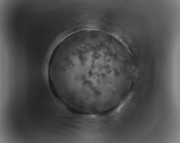 X0000093130151200710031358