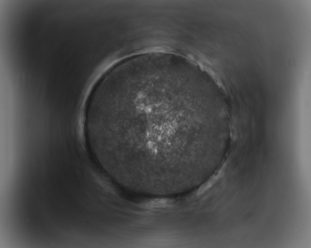 X0000093130152200710031358