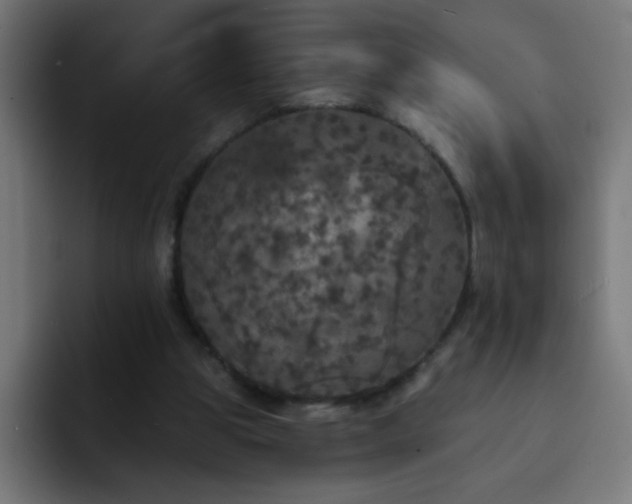 X0000093130153200710031358