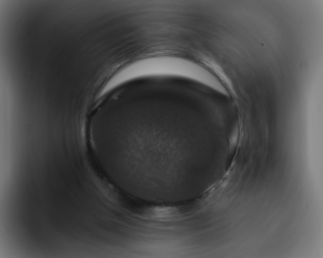 X0000093130154200710031358