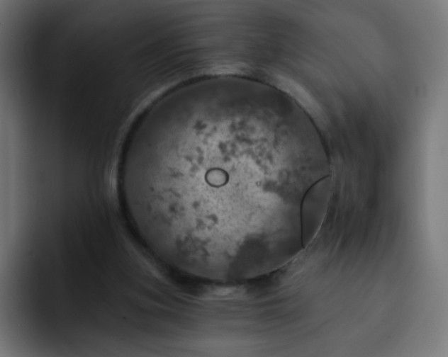 X0000093130155200710031358