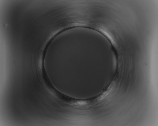 X0000093130156200710031358