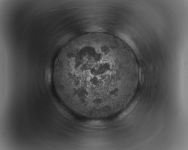 X0000093130157200710031358