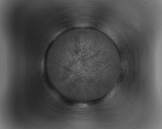 X0000093130159200710031358