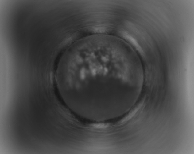 X0000093130161200710031358