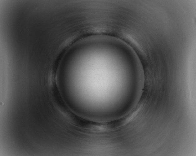 X0000093130164200710031358