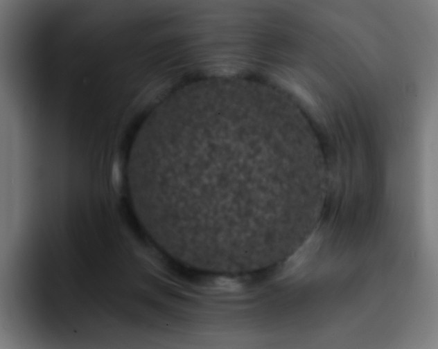 X0000093130166200710031358