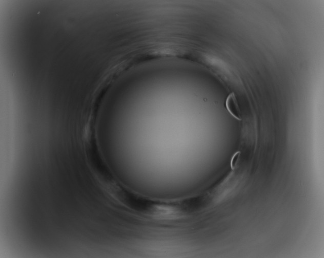 X0000093130167200710031358