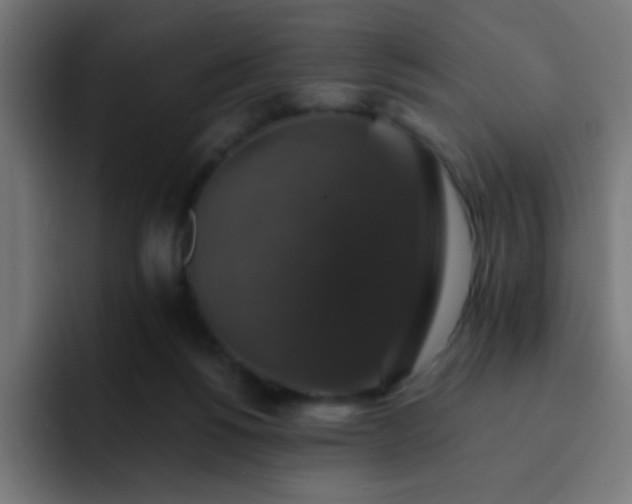 X0000093130168200710031358