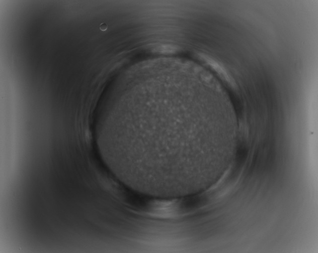 X0000093130170200710031358