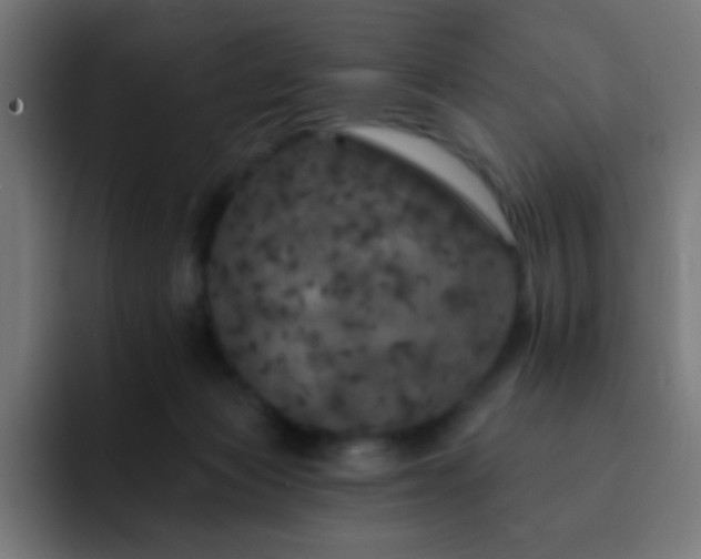 X0000093130173200710031358