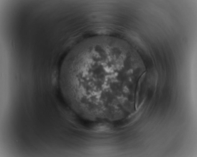 X0000093130175200710031358