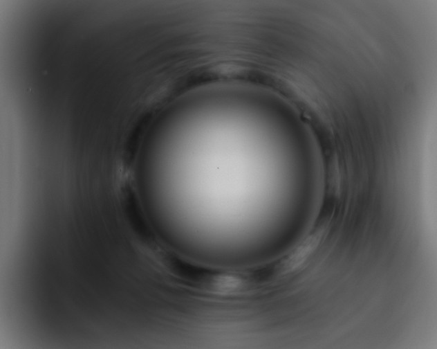 X0000093130176200710031358