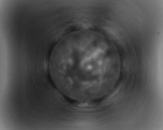 X0000093130177200710031358