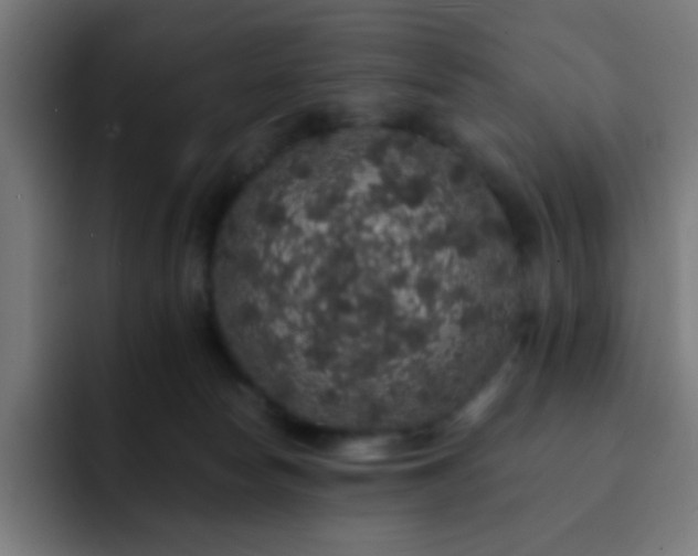 X0000093130178200710031358