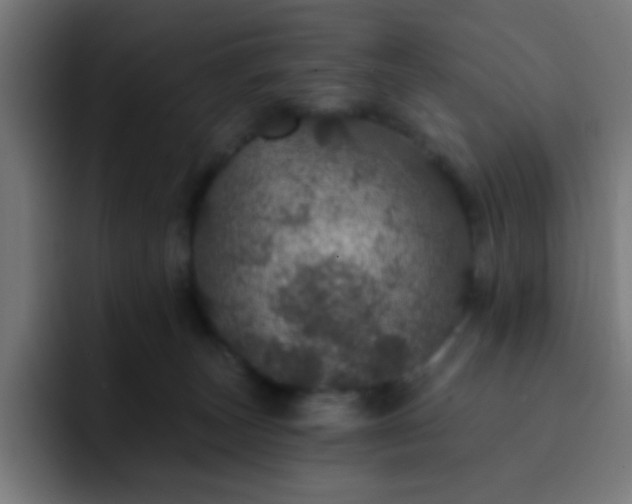 X0000093130179200710031358