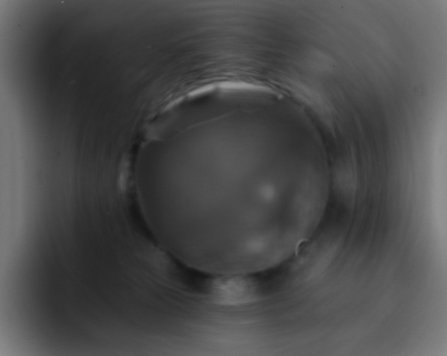 X0000093130181200710031358