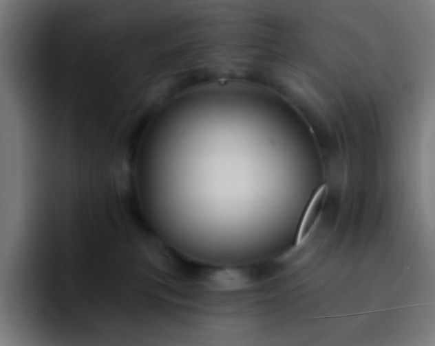 X0000093130183200710031358