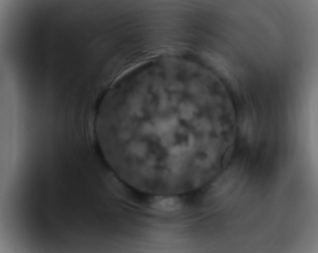 X0000093130185200710031358