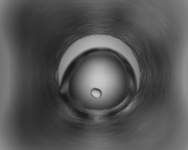 X0000093130188200710031358