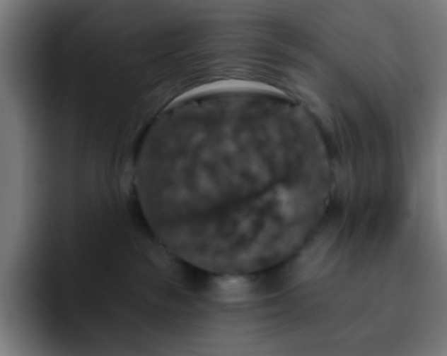 X0000093130189200710031358