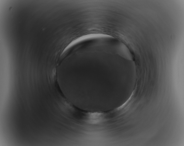 X0000093130192200710031359