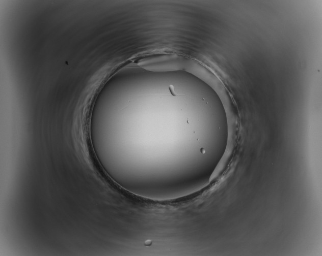 X0000093130193200710031358