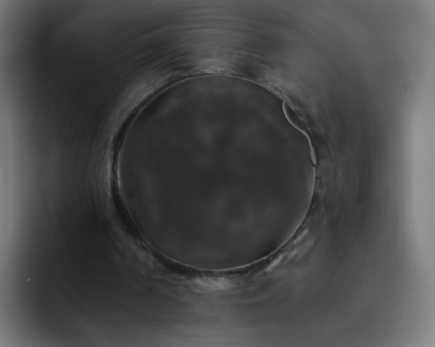 X0000093130194200710031358